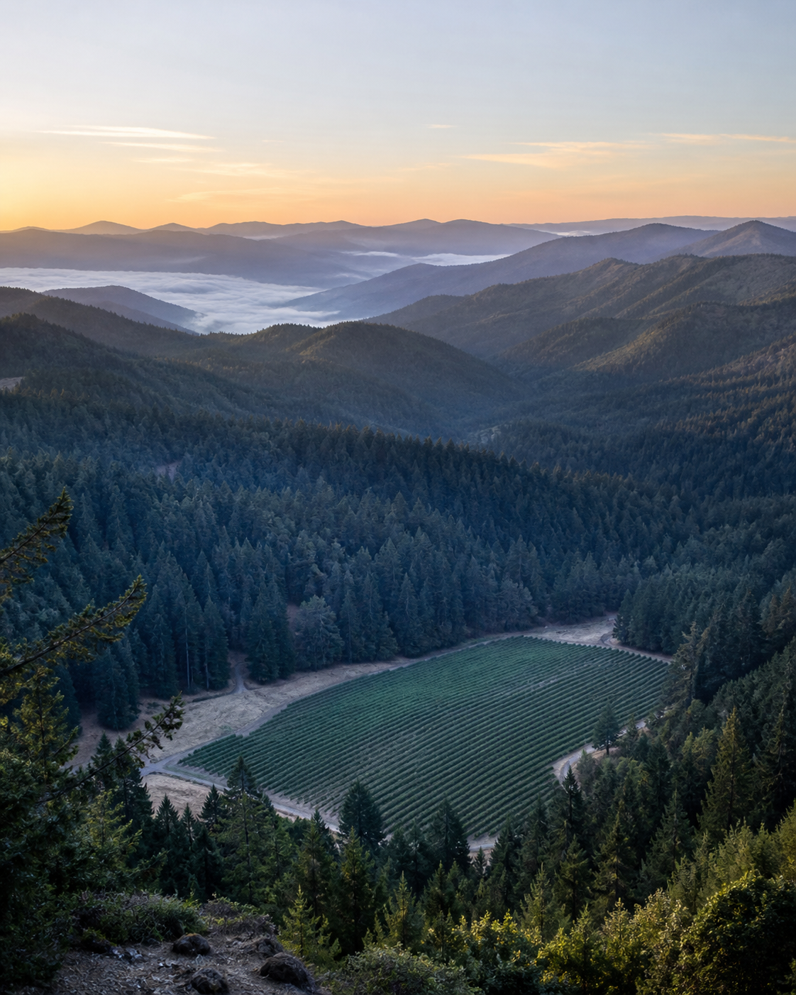 Território montanhoso do Oregon onde está a East Fork Cultivars