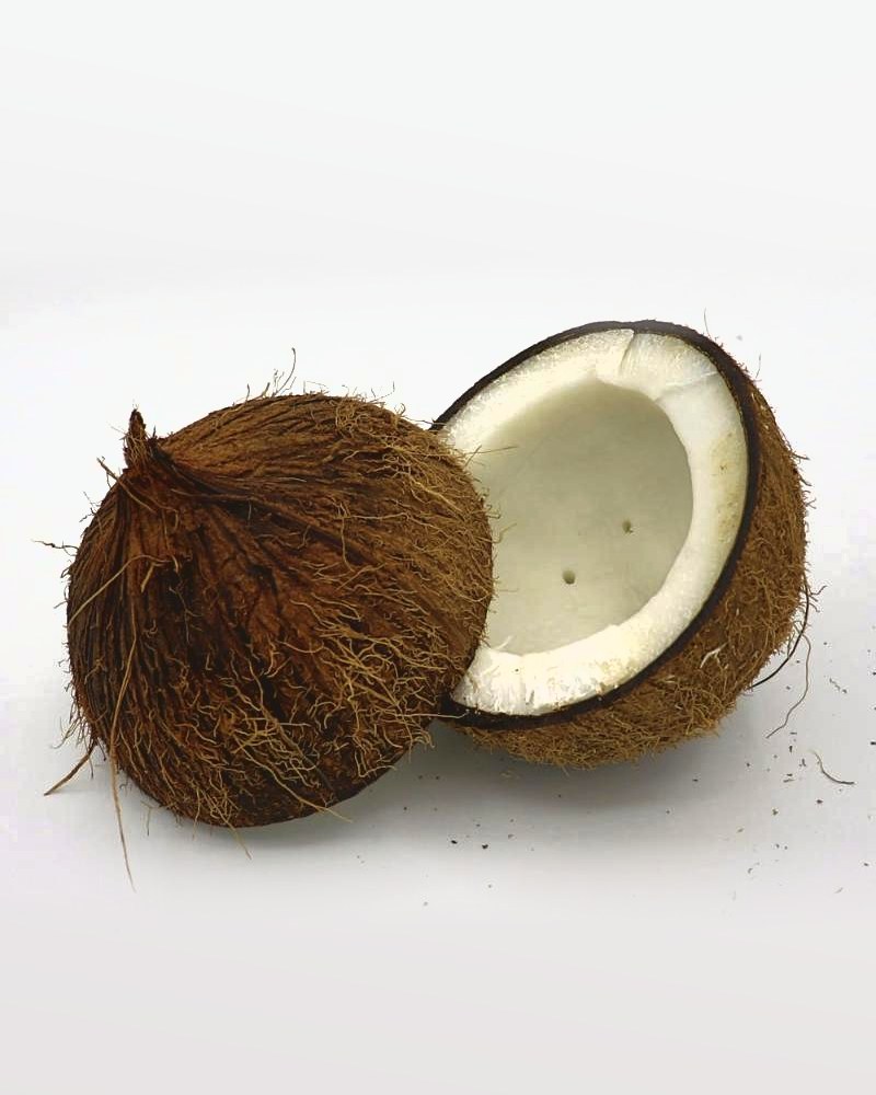 Um coco inteiro e outro aberto ao meio, a polpa branca à mostra, sobre fundo claro